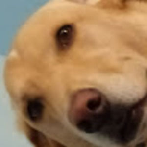 Meet your Posher, Ashlyn